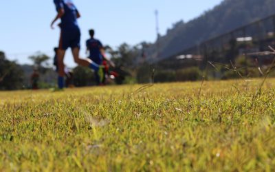 Treinamento cancelado neste sábado 16 de março Por conta da realização da primeira rodada do Campeonato Municipal atividades na escolinha e categorias de base foram suspensas