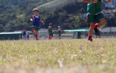 Segunda rodada do Campeonato Interno acontece neste sábado Partidas começam às 9 horas e contará com a participação dos atletas da categoria Sub 9 e acontecem no Centro de Treinamento, em Conselheiro Paulino
