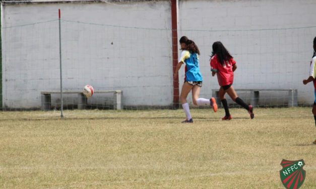 <h1>Futebol Feminino: Nova Friburgo faz semifinal contra o Águias de Ouro </h1> <h>Partida acontece neste domingo (seis de outubro), às 13 horas, no Estádio Marcio Branco, no Stucky</h>